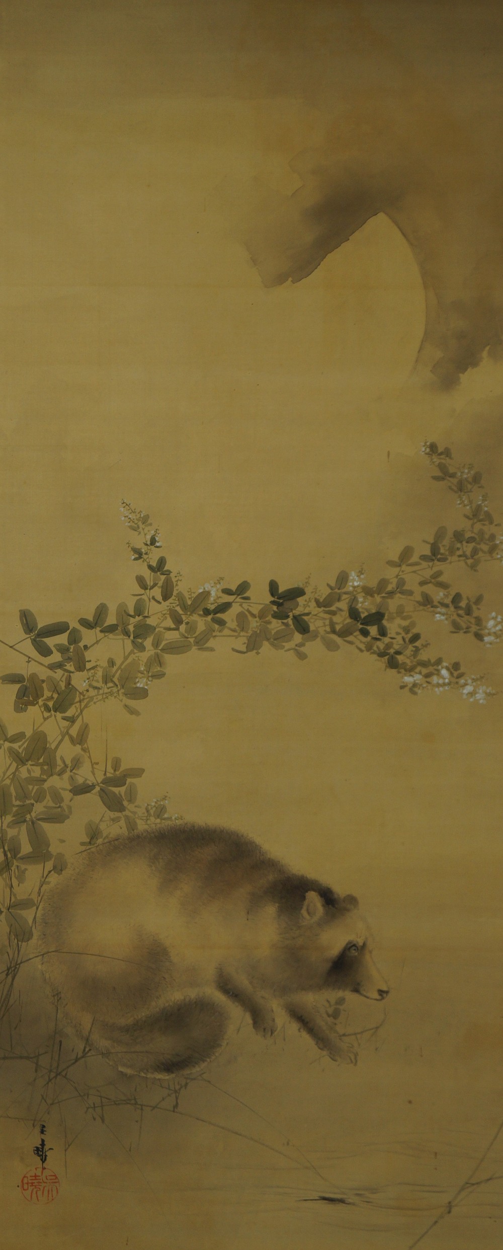 Kakemono Waschbaer Gesamtmotiv ohne Rahmung