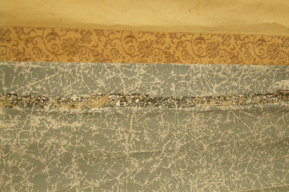 Spatz auf der Kiefer Montierungsdetail