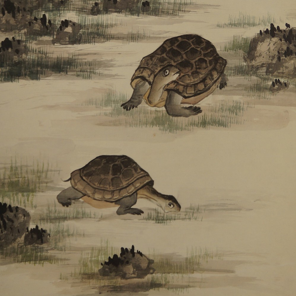 Zwei Schildkroeten von Shogetsu Motiv Nahaufnahme Vorschau