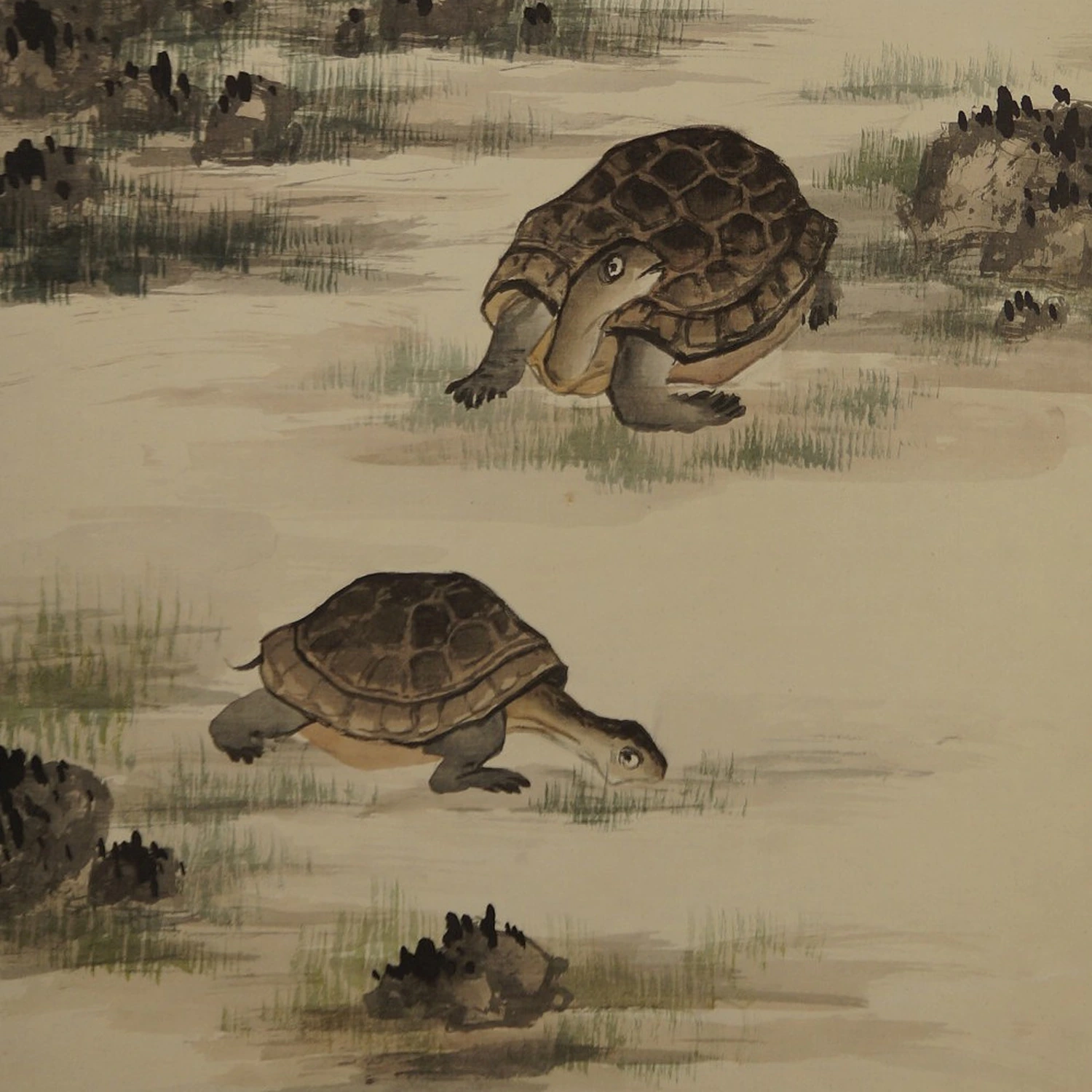 Zwei Schildkroeten von Shogetsu Motiv Nahaufnahme Vorschau