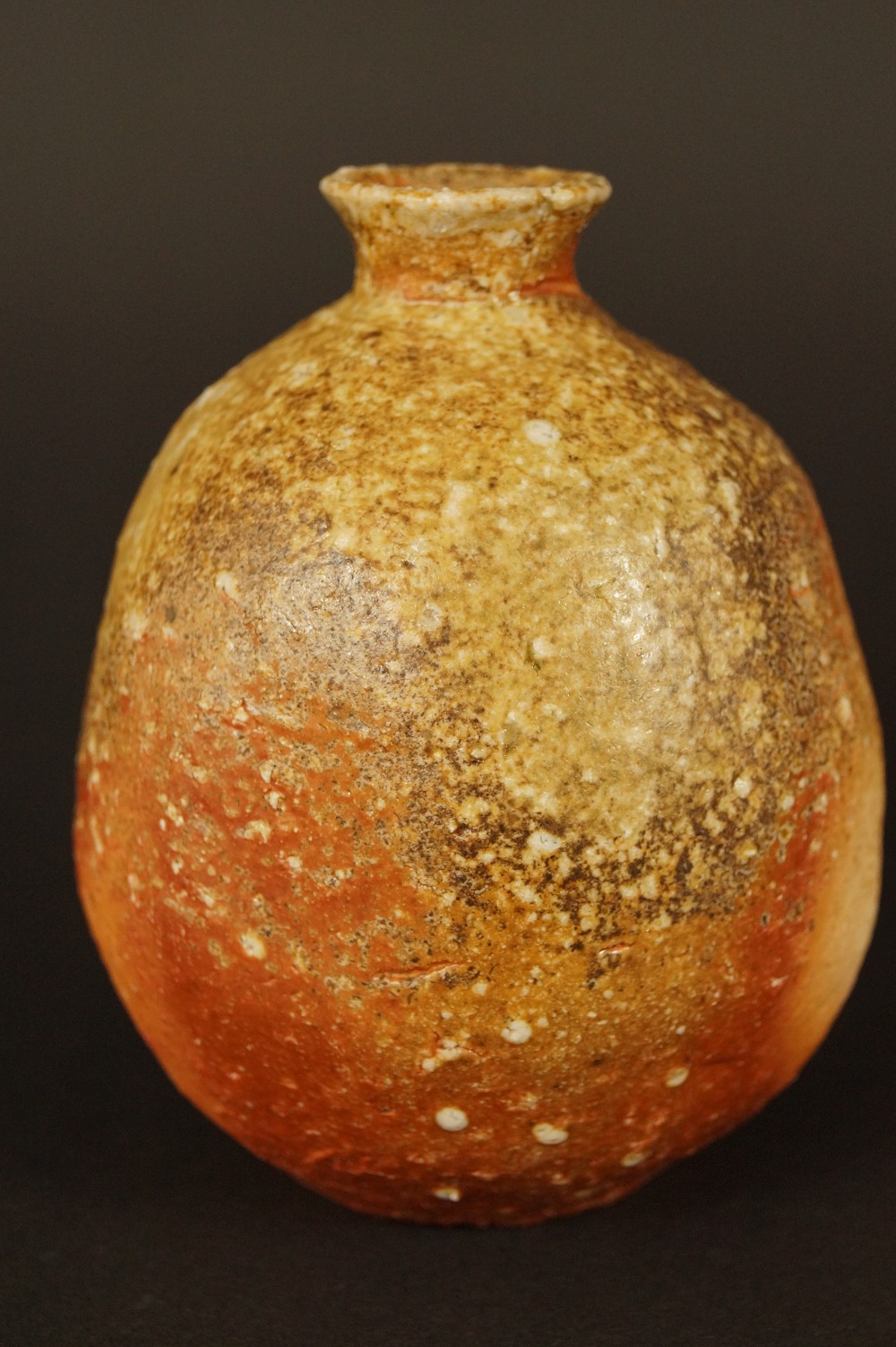 Shigaraki Tokkuri Sake Flask Front View
