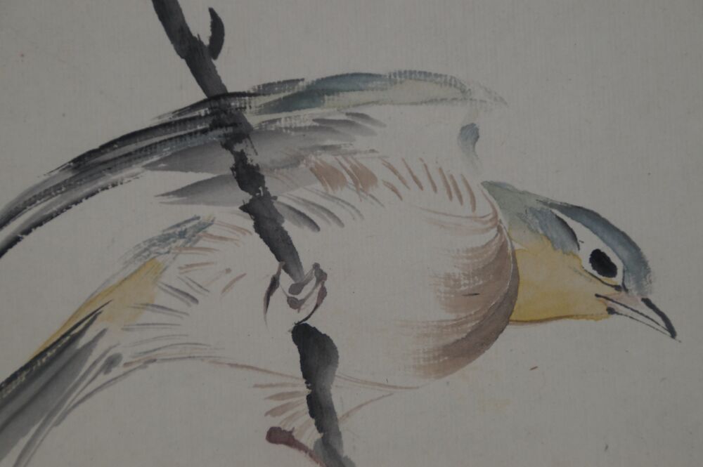 Nahaufnahme des Gefieders des Singvogels im Kakemono Singvogel auf bluehendem Kamelienast