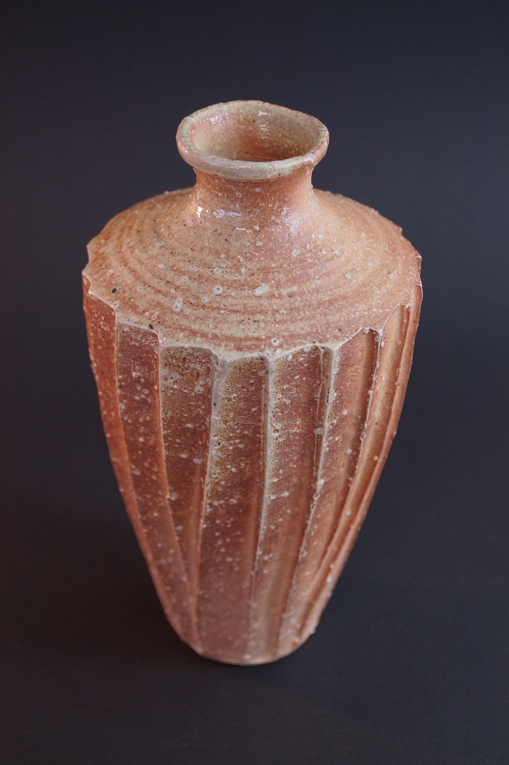 Shigaraki Vase von Takahashi Rakusai Rueckansicht