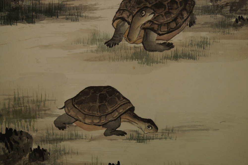 Zwei Schildkroeten von Shogetsu Motiv Nahaufnahme 2