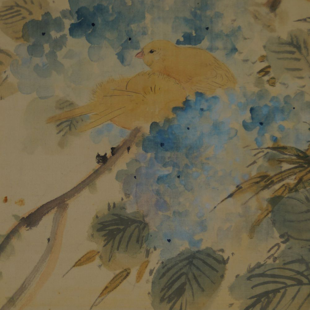 Nahaufnahme der beiden gelben Voegel auf dem Zweig zwischen blauen Hortensienblueten im Kakemono Hortensien im Fruehsommerlicht