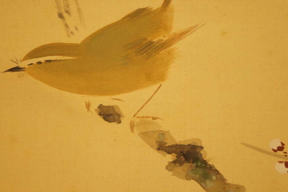 Vogel auf einem Kirschbaumzweig von Yasuyama Tachiwaki Vogel Nahaufnahme 3
