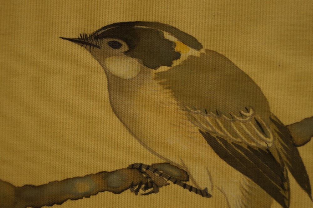 Spatz Motiv Nahaufnahme 3