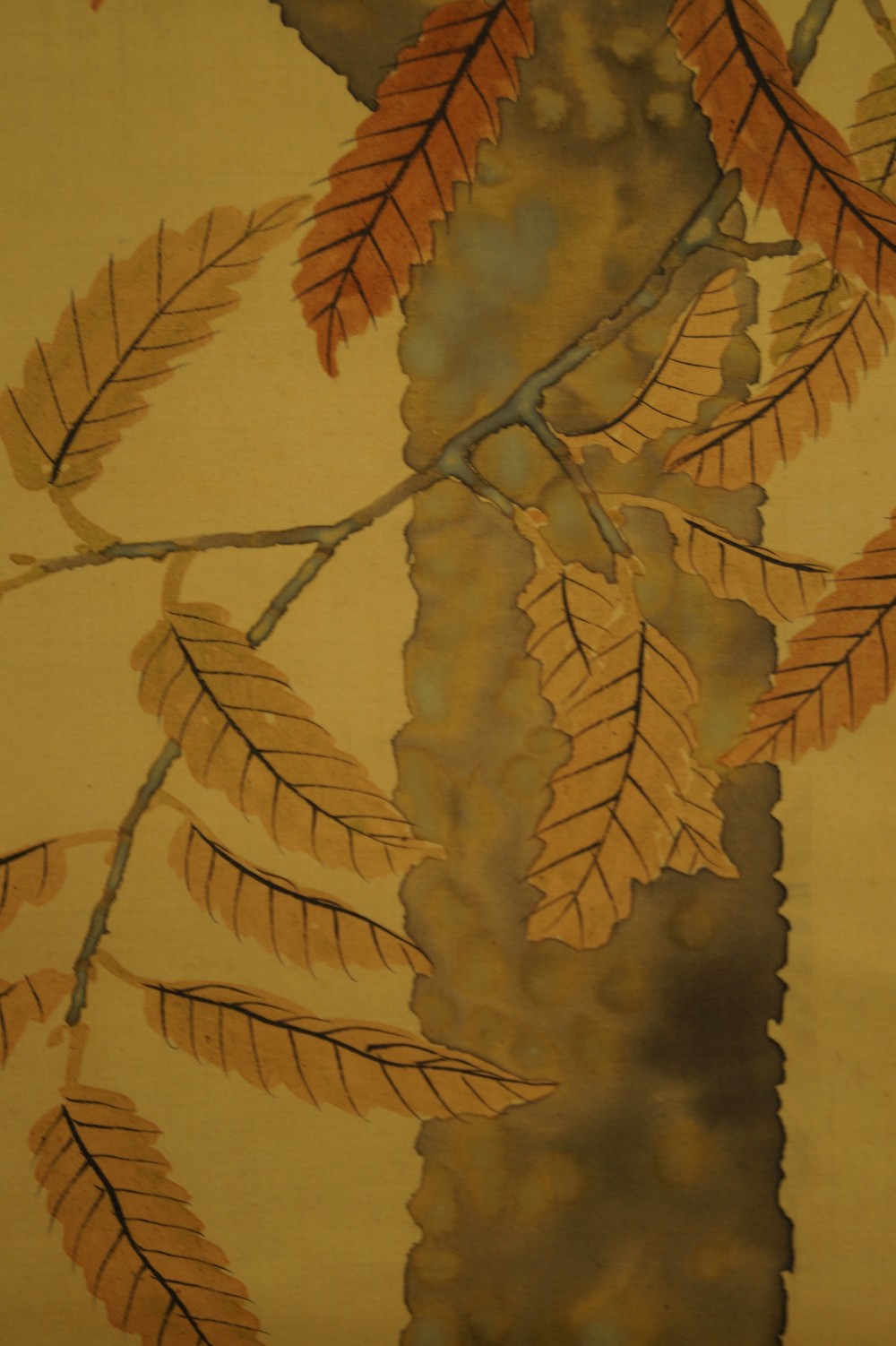 Spatz Baum Motiv Nahaufnahme 2