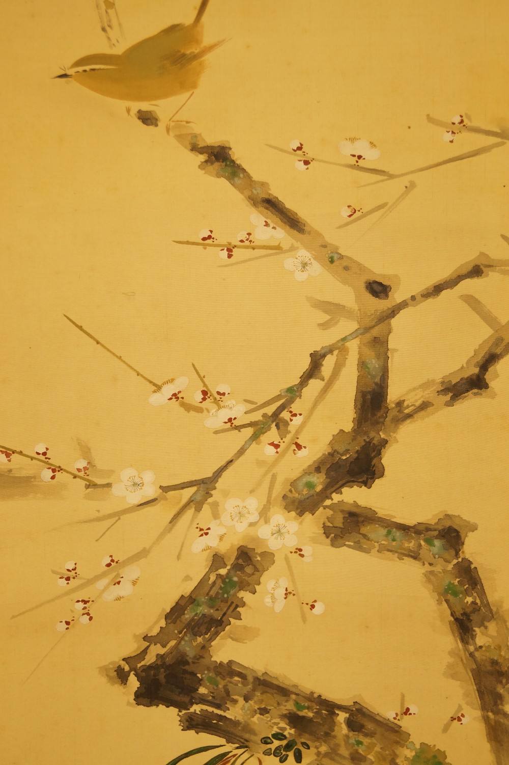 Vogel auf einem Kirschbaumzweig von Yasuyama Tachiwaki Vogel Nahaufnahme 2