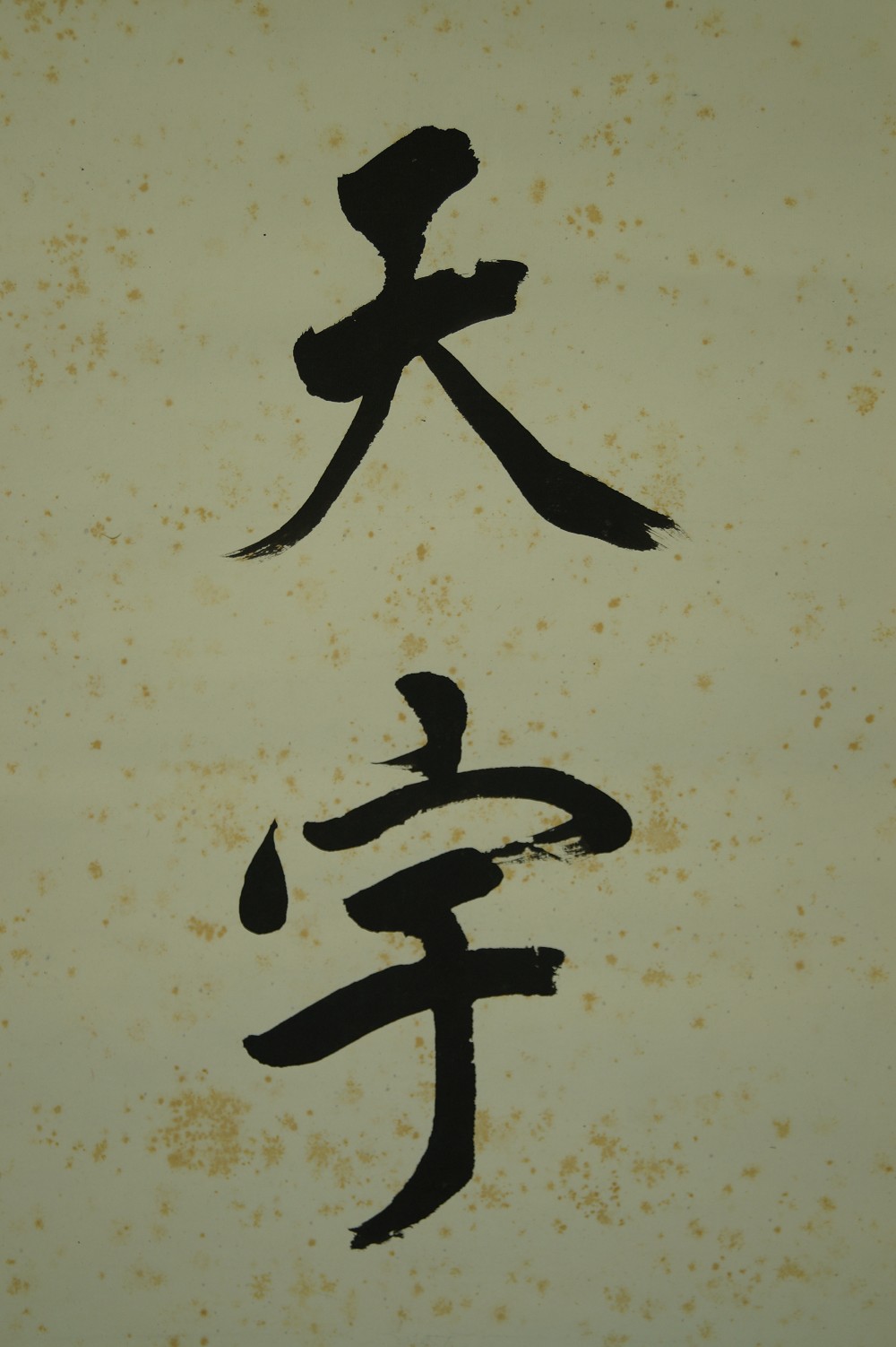 Kakemono Calligraphy Calligraphy Close-up 3