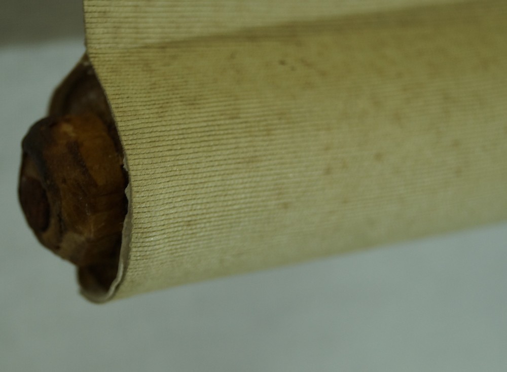 Zwei Kois im Wasser Rollendetail