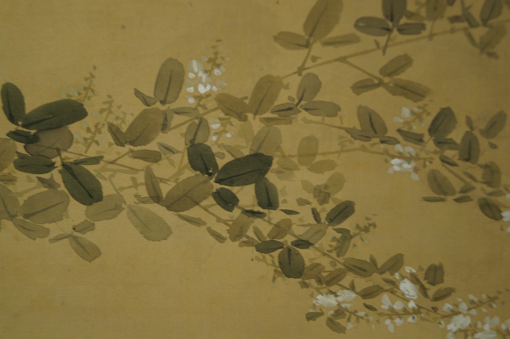 Kakemono Waschbaer Hagi-Motiv Nahaufnahme