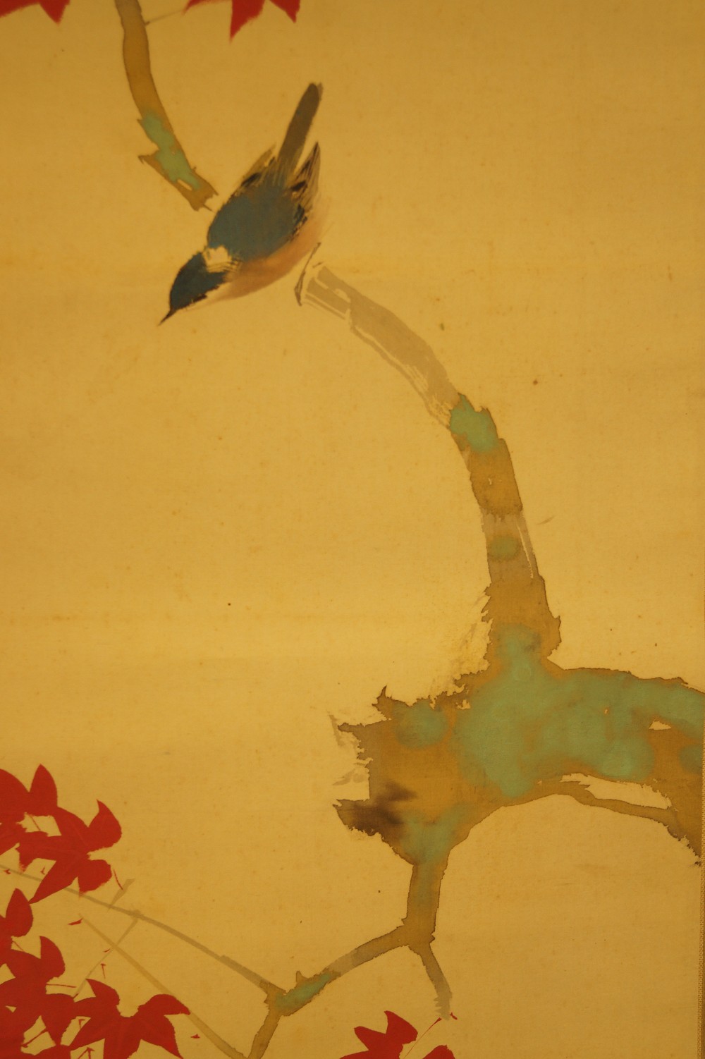 Spatz auf einem Ahornzweig von Yasuyama Tachiwaki Spatz Nahaufnahme 1