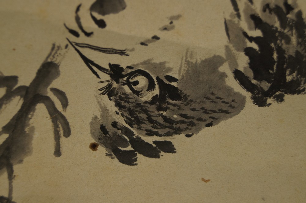 Vogel auf Kiefernzweig von Akiaki Okamoto Vogel-Motiv Nahaufnahme 2