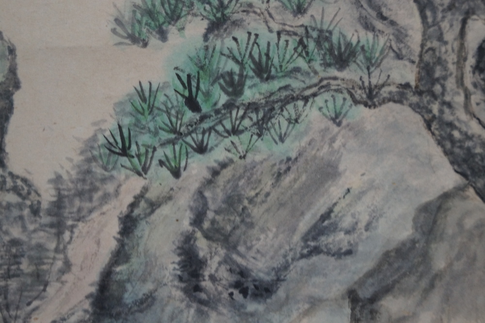 Landschaft Kiefer Nahaufnahme 2