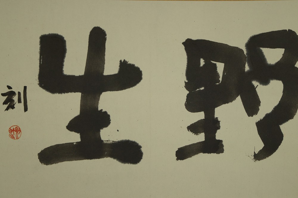 Calligraphy Wild Hanging Scroll Kakejiku Kakemono Full Motif without Mounting