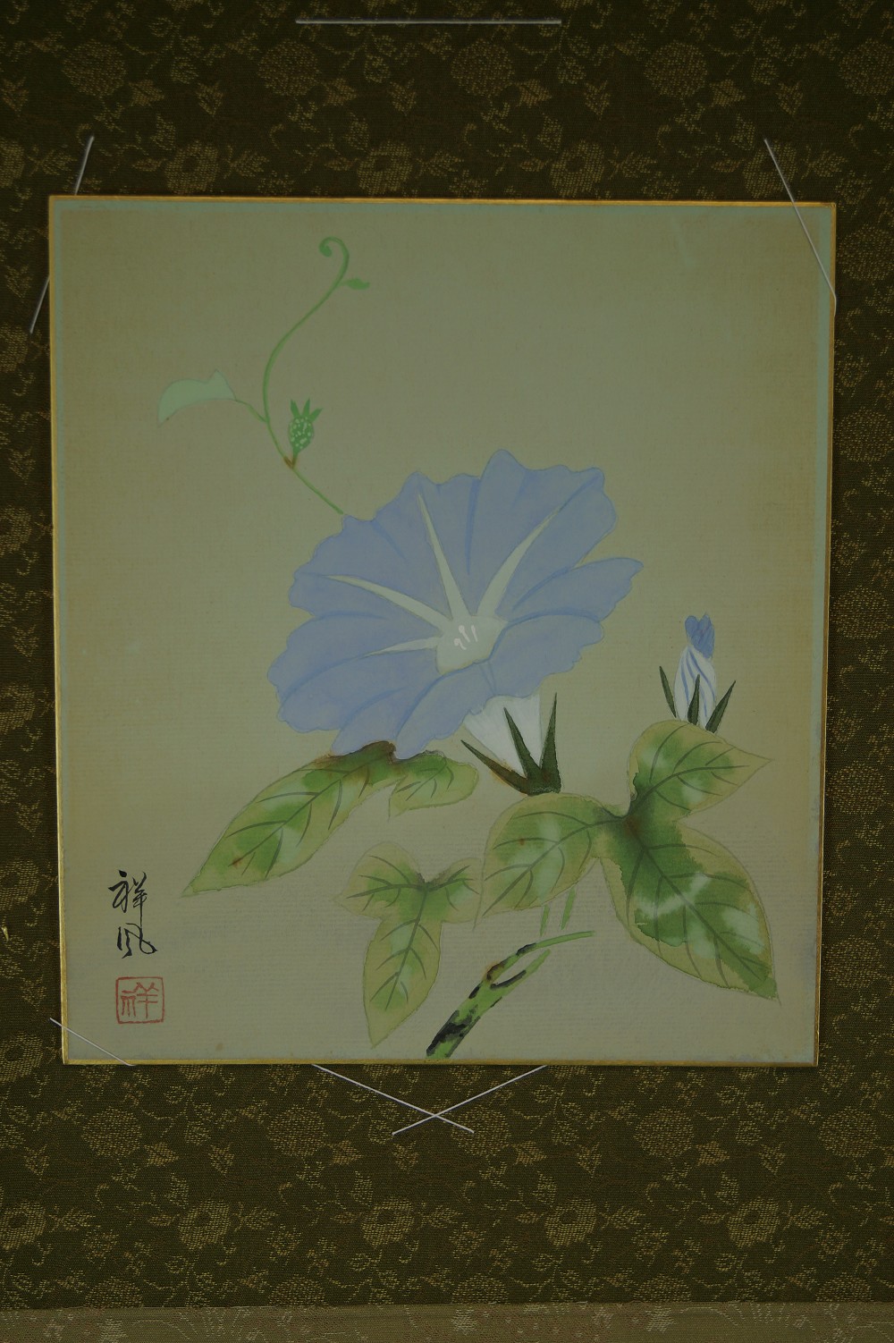 Weitere Ansicht des im Passepartout montierten Shikishi Prunkwinde