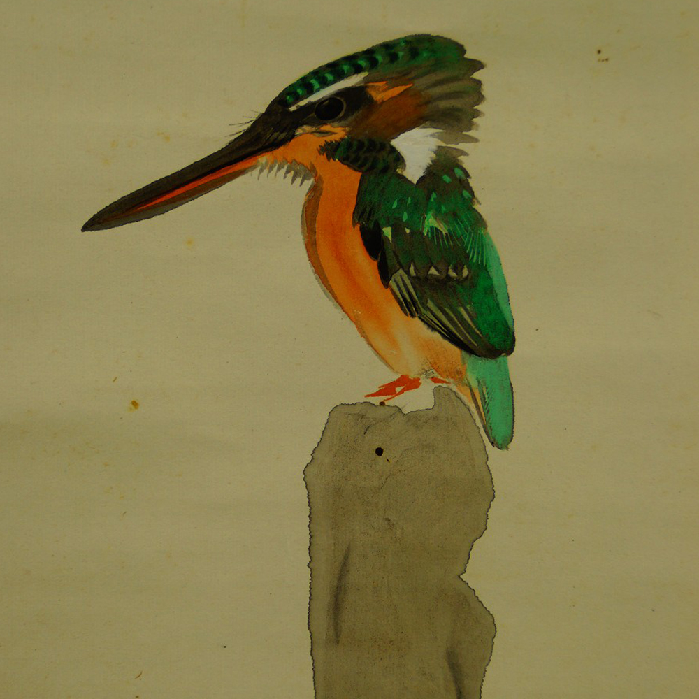 Eisvogel am Fluss von Daiya Motiv Nahaufnahme Vorschau