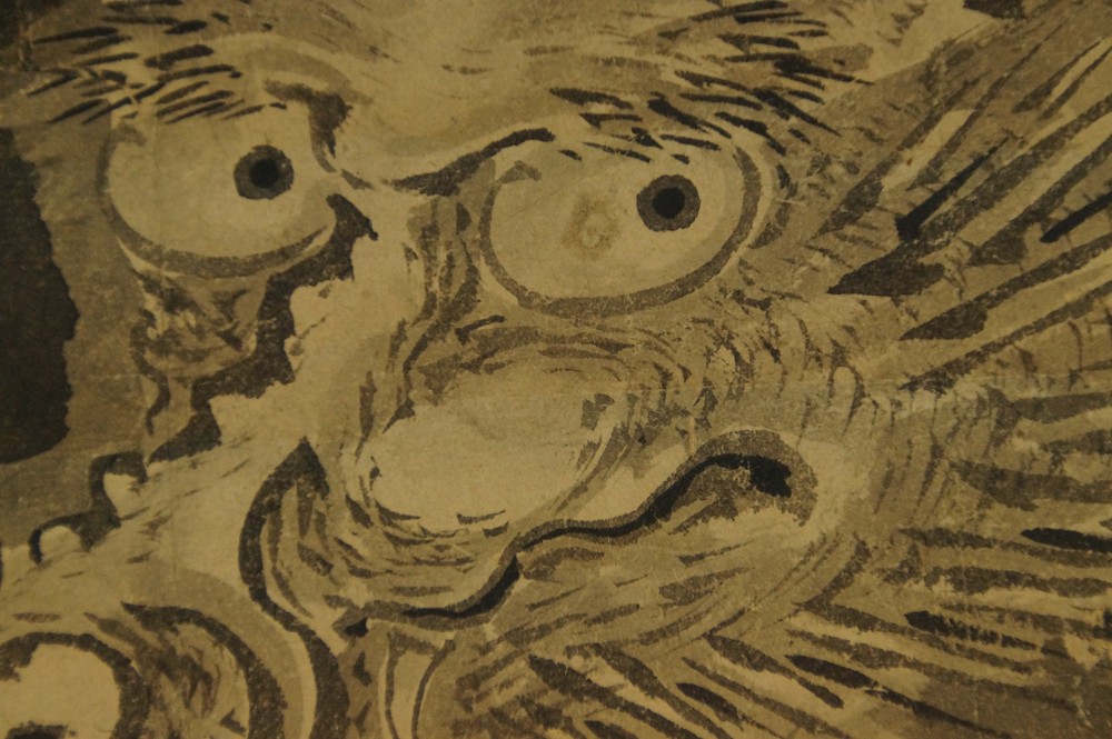 Extreme Nahaufnahme der durchdringenden Augen des Drachen