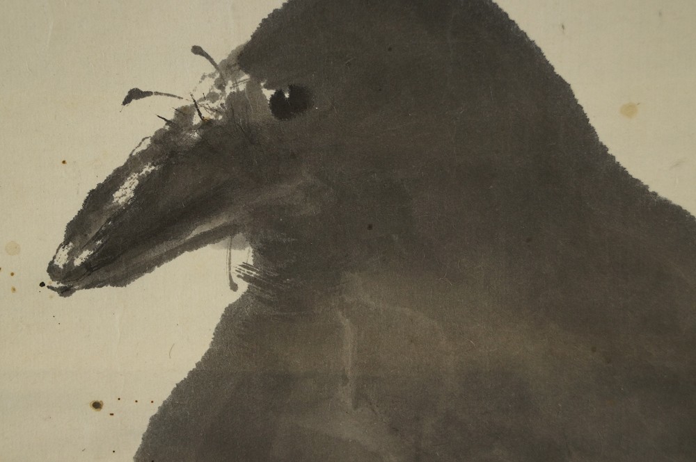 Corbeau dans un feuillage automnal gros plan du motif du corbeau 3