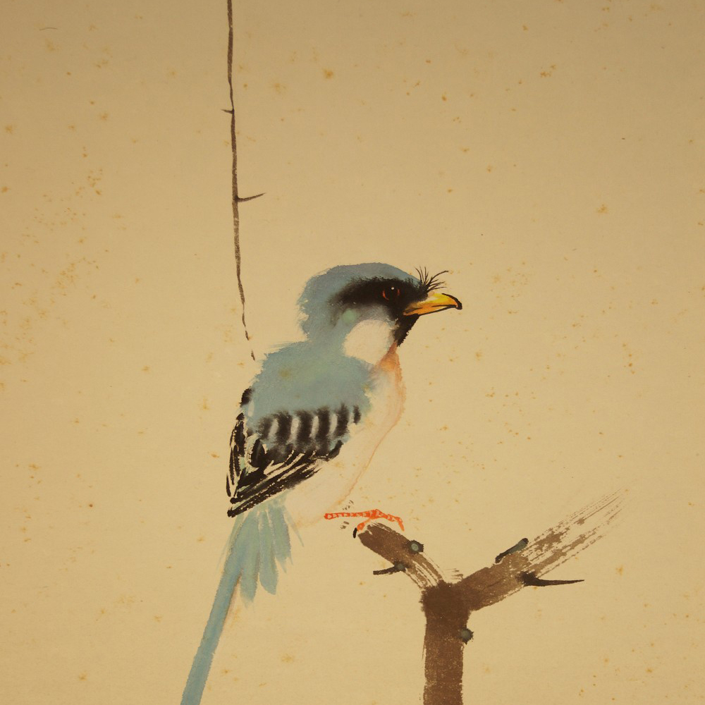 Eisvogel auf einem Zweig Motiv Nahaufnahme Vorschau