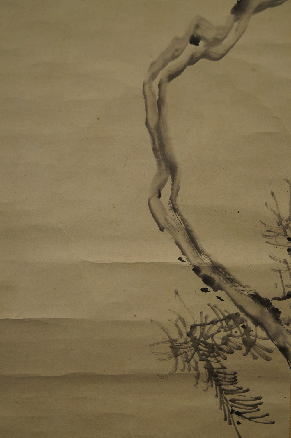Vogel auf Kiefernzweig von Akiaki Okamoto Kiefer-Motiv Nahaufnahme 2