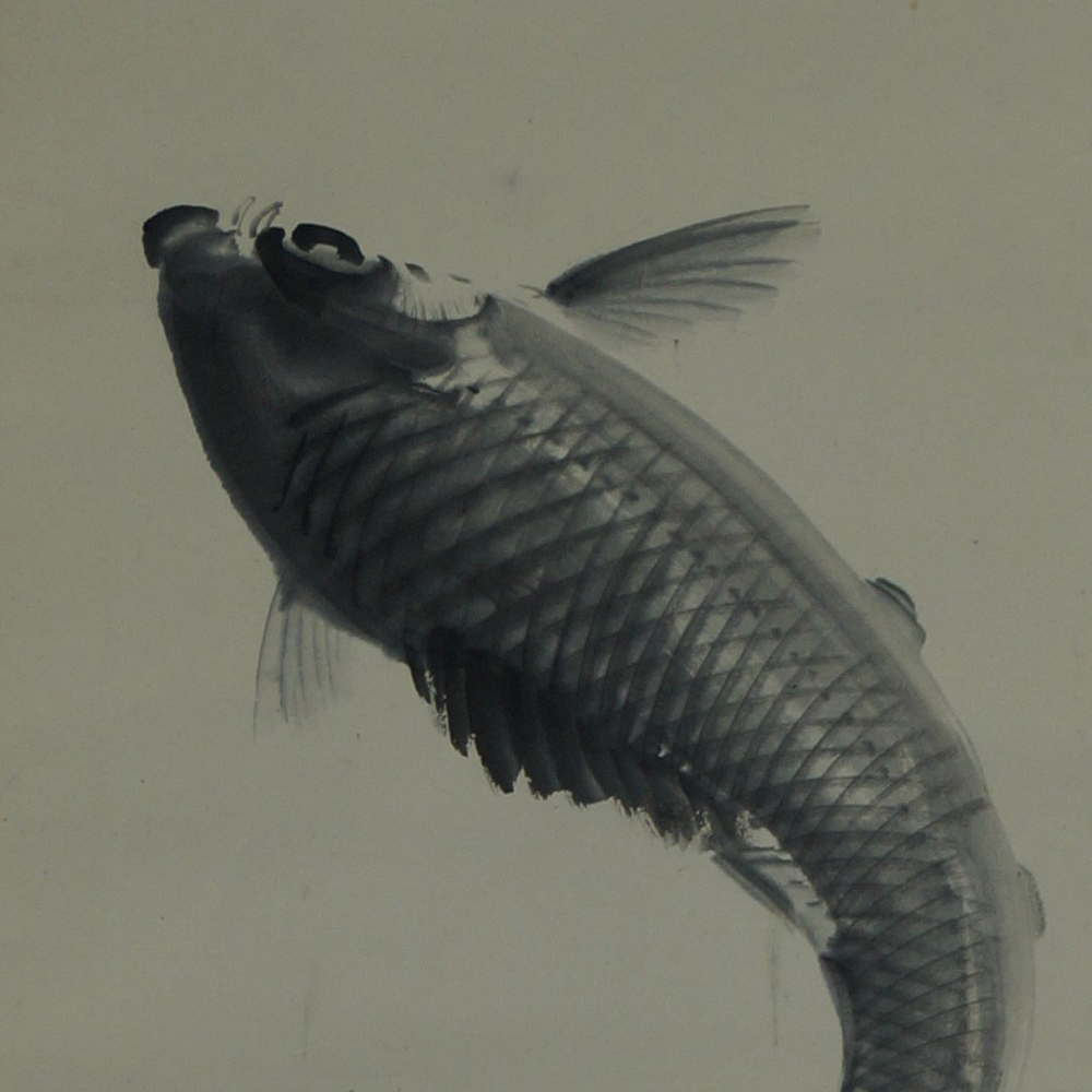 Kakemono Springender Koi Motiv Nahaufnahme Vorschau