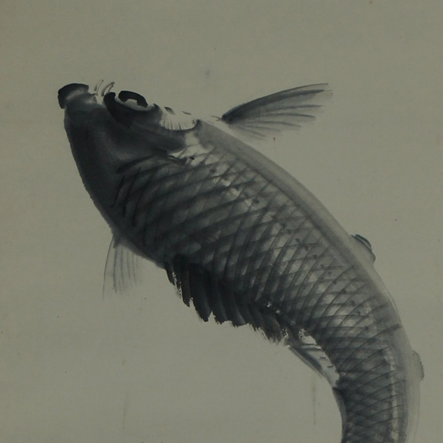 Kakemono Springender Koi Motiv Nahaufnahme Vorschau