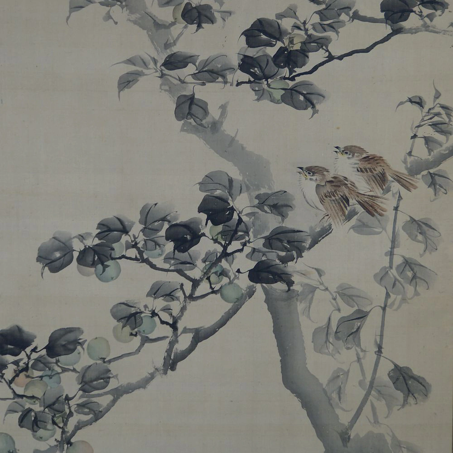 Close-Up of the Persimmon Tree with Two Groups of Sparrows in the Hanging Scroll Sparrows on a Fruit Tree
