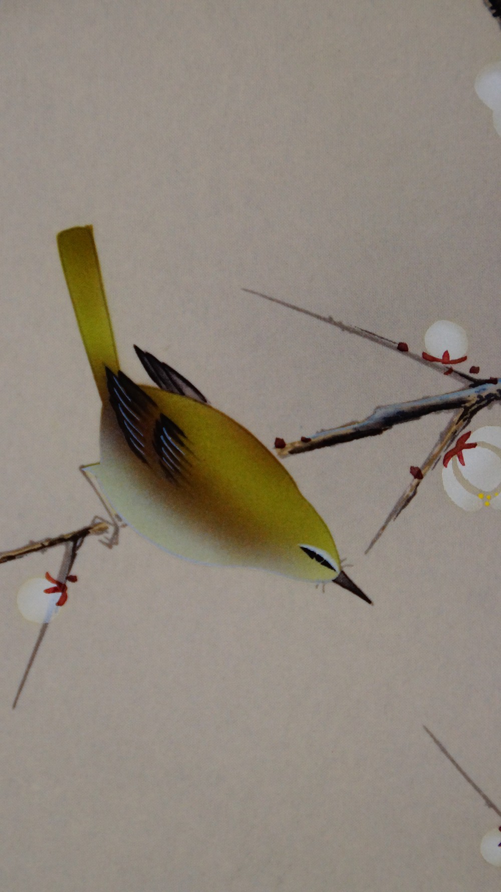 Fruehlingszweig mit Vogel Kakemono von Arii Shoun Vogel-Motiv Nahaufnahme 2