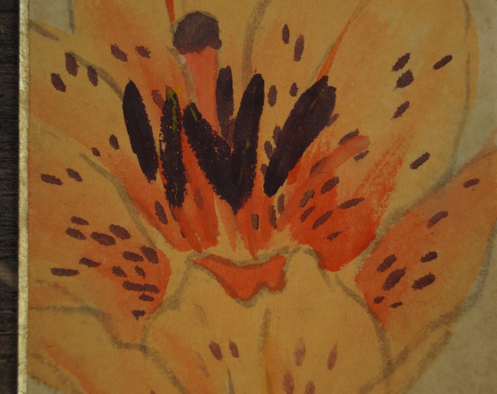 Lily Blossom Stamens Motif Close-Up