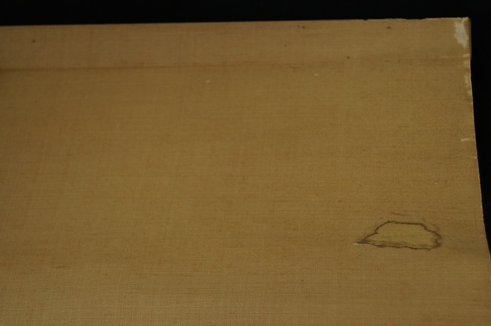Karpfen im Wasser Rollendetail