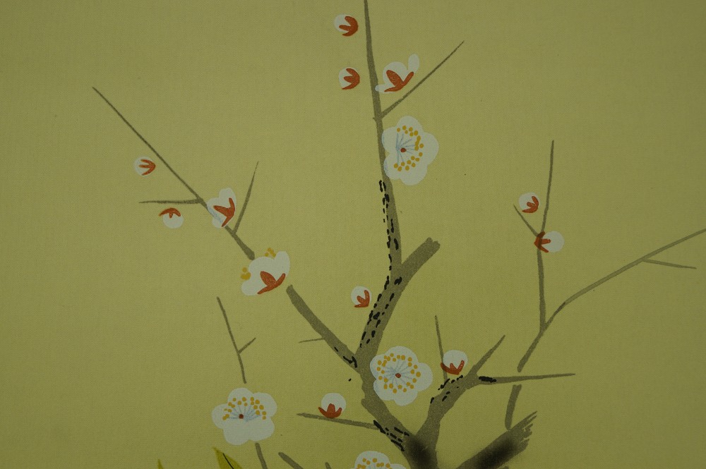 Blumen Rollbild Pflaumenbluete Nahaufnahme