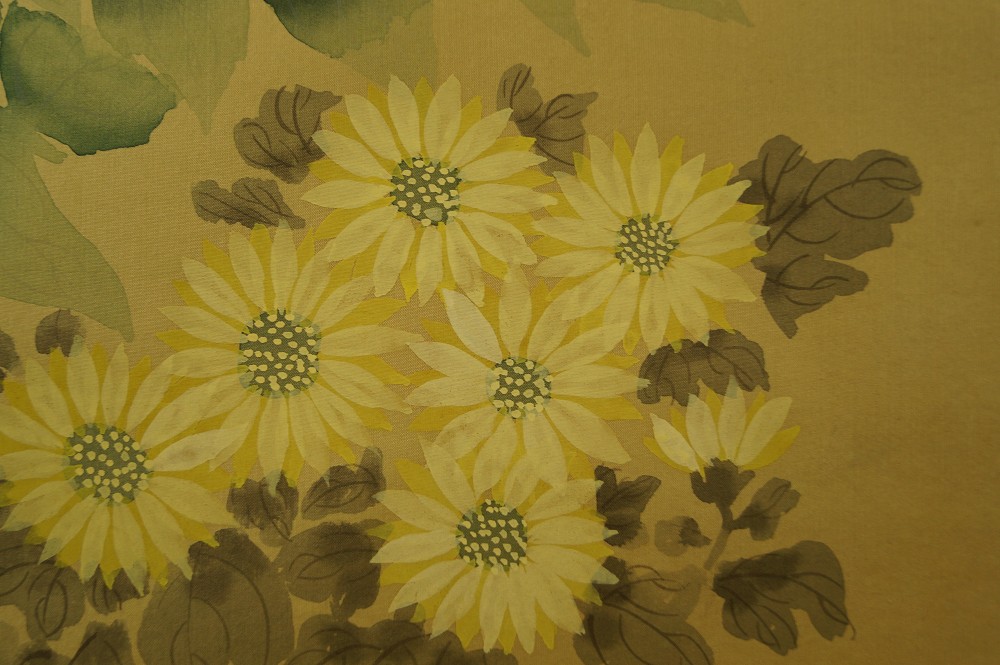 Fleurs chrysanthèmes gros plan