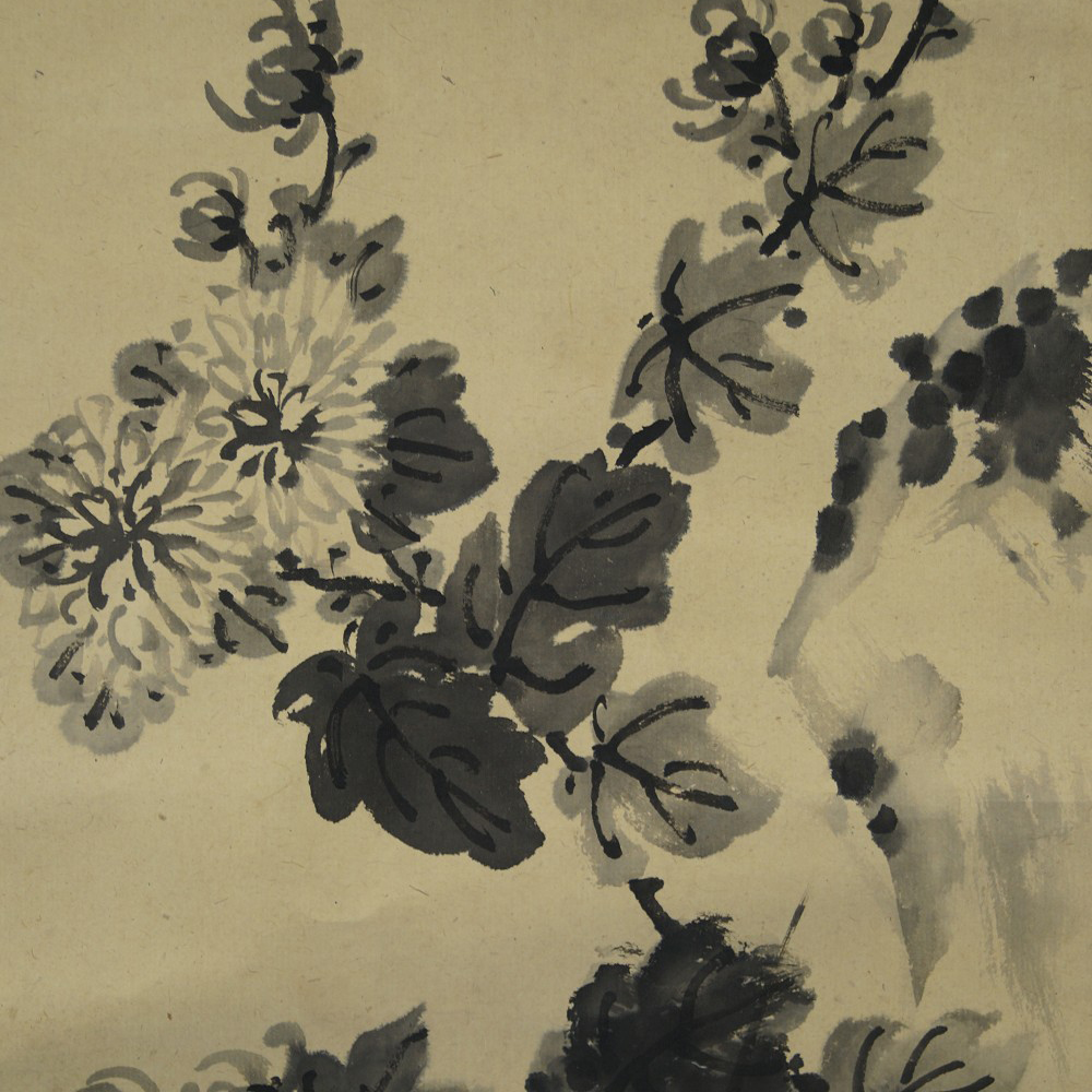 Chrysanthemen Rollbild Motiv Nahaufnahme Vorschau
