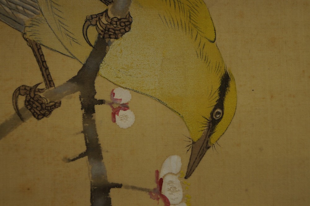Vogel und Pflaumenblueten von Hiroshi Matsuda Vogel-Motiv Nahaufnahme