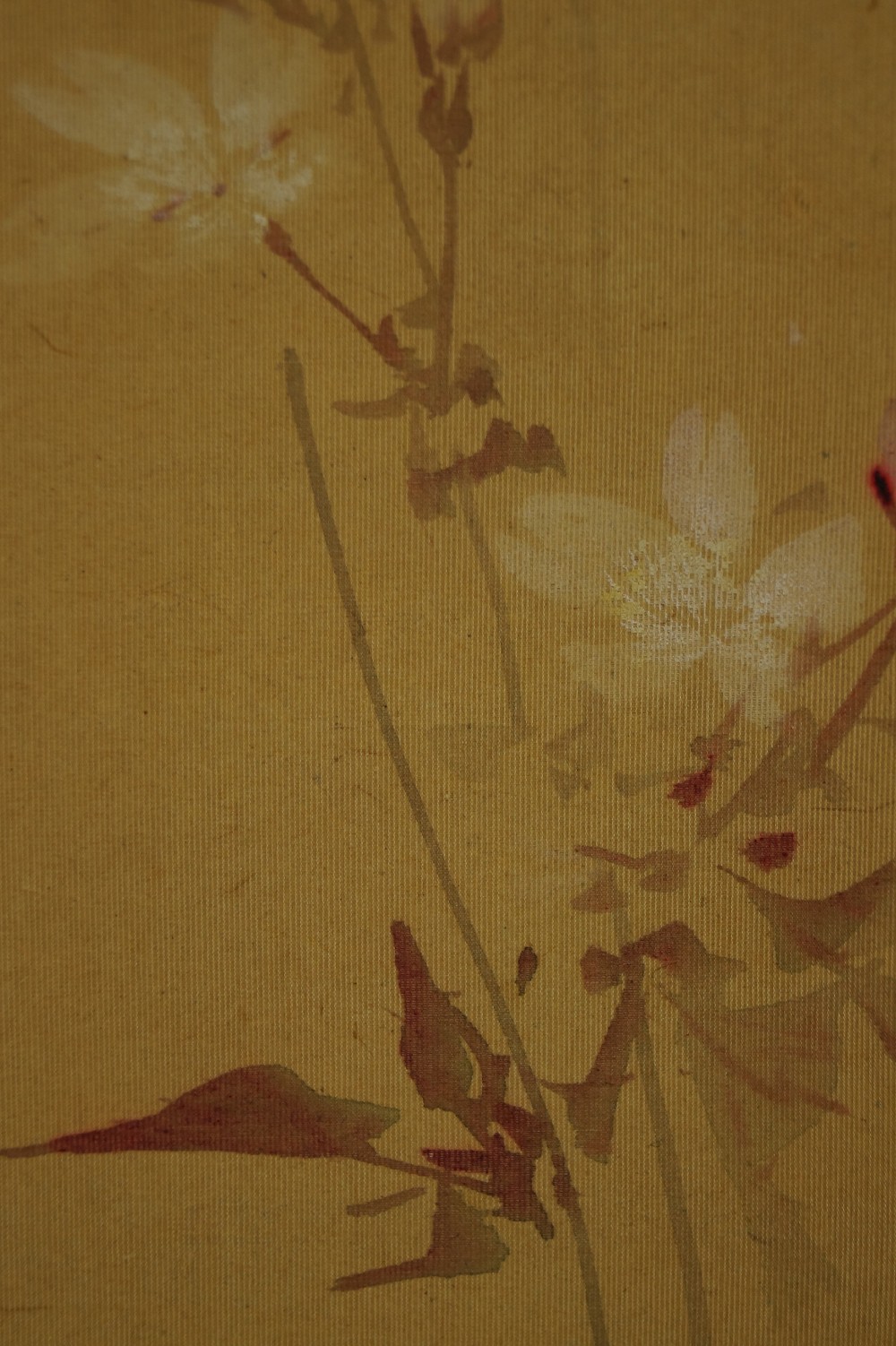 Drei Spatzen Blumen Motiv Nahaufnahme 3