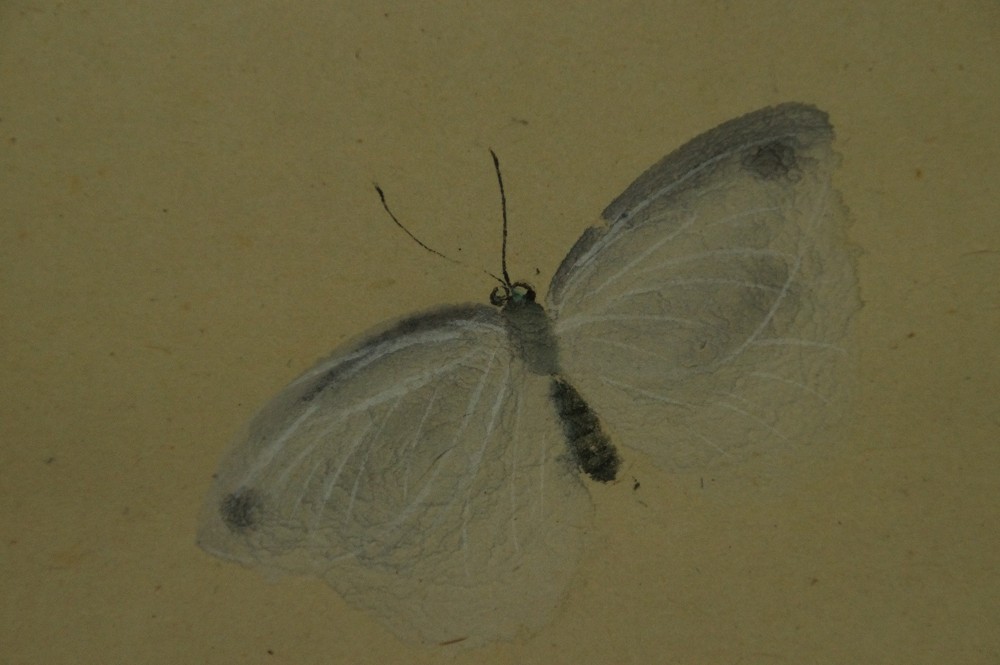 Zwei Schmetterlinge von Gyokusha Haruki Schmetterling Motiv Nahaufnahme