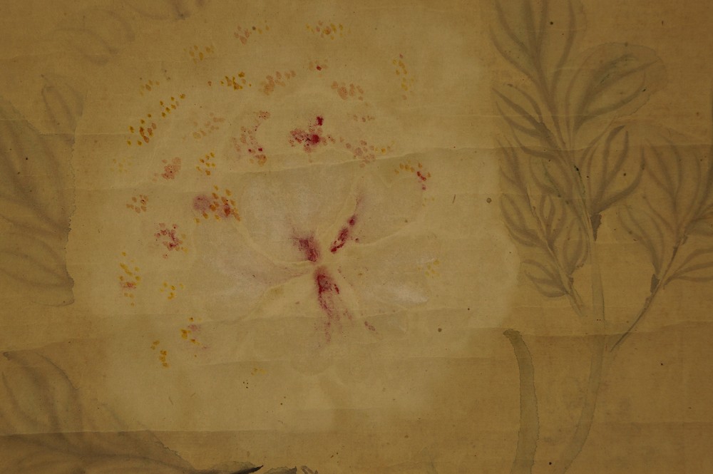 Peony with Calligraphy Peony Motif Close-Up