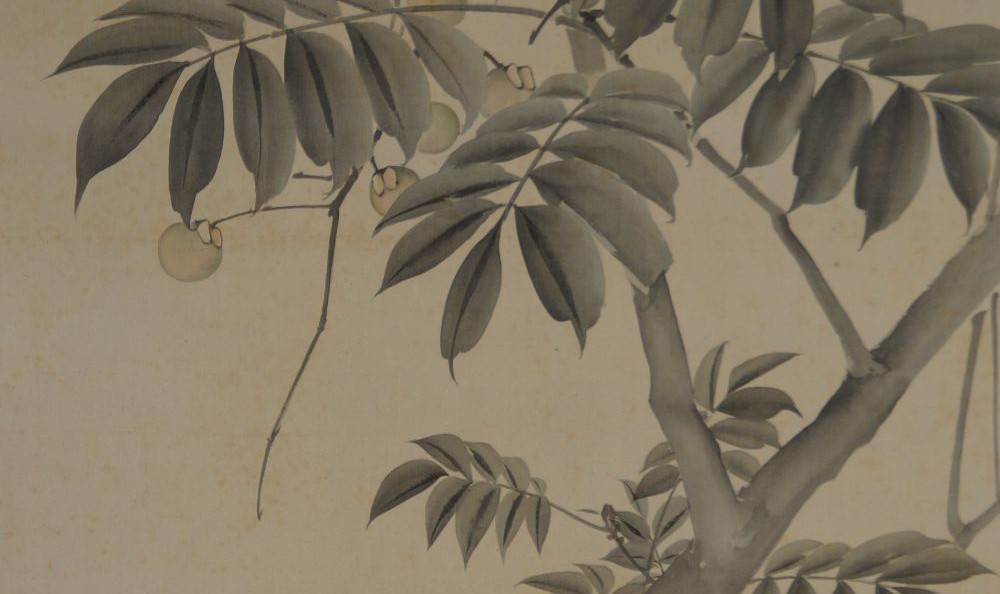 Kakemono von Takebe Hakuhō: Vogel in den Zweigen eines Obstbaums.