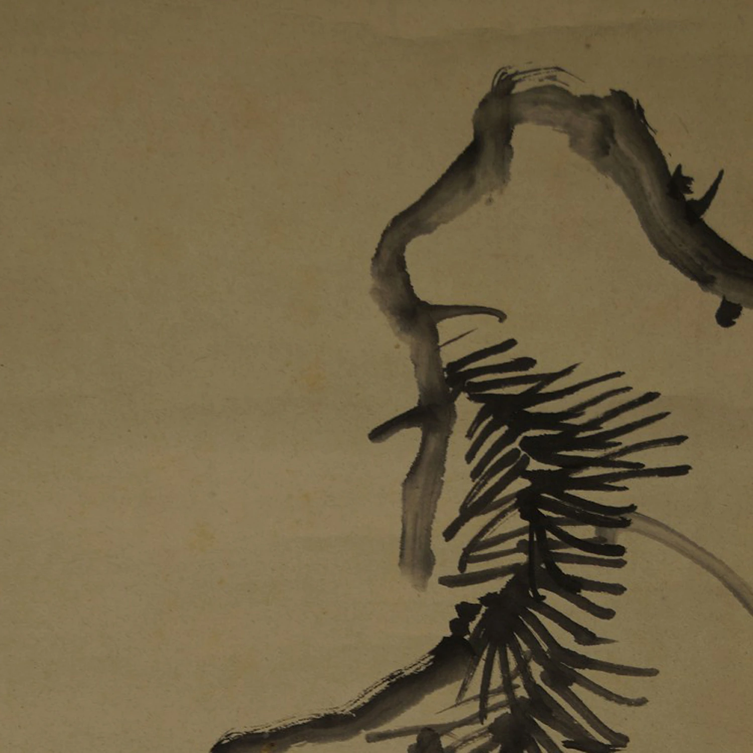 Vogel auf Kiefernzweig von Akiaki Okamoto Motiv Nahaufnahme Vorschau