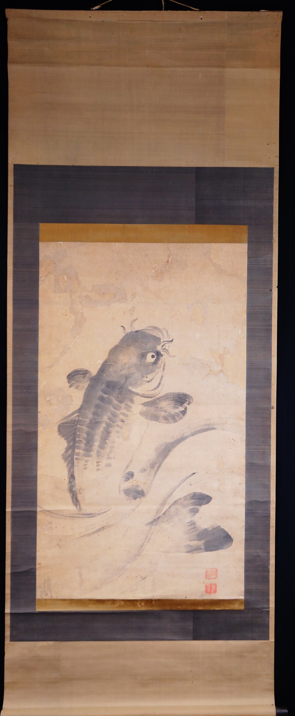 Gesamtansicht des Kakemono mit einem in Tusche gemalten Karpfen von Shujo, aufgehaengt mit Aufhaengeschnur