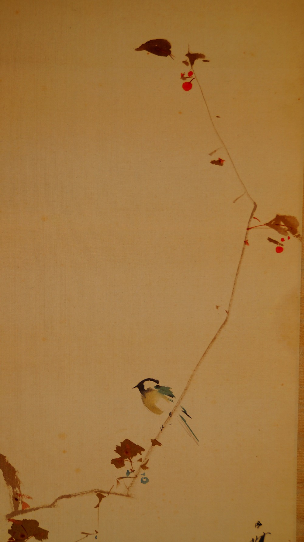 Zweite Gesamtaufnahme des Singvogels auf dem Rebzweig im Kakemono Singvogel auf Rebe von Mori Getsujo ohne Rahmung