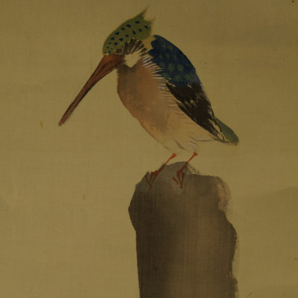 Eisvogel von Kinsen Motiv Nahaufnahme Vorschau