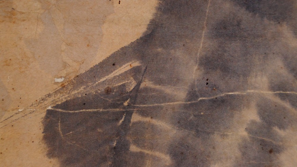 Nahaufnahme der Papierstruktur mit feinen Tuschelinien der Wasserwellen