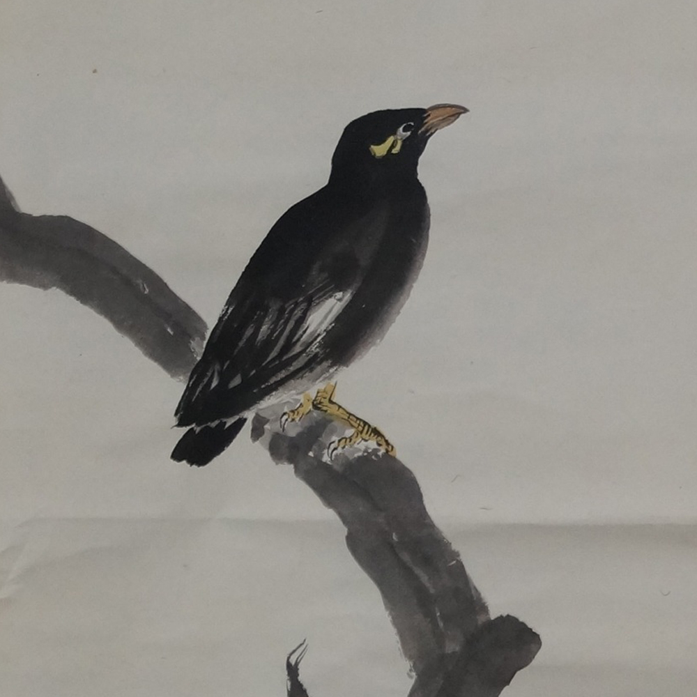 Der Vogel am Granatapfelbaum Makuri Motiv Nahaufnahme Vorschau