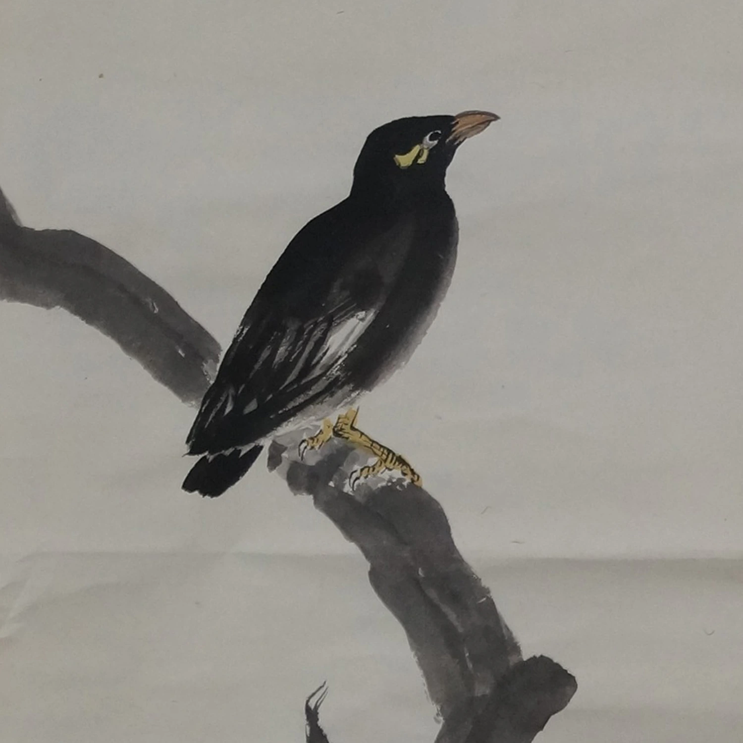 Der Vogel am Granatapfelbaum Makuri Motiv Nahaufnahme Vorschau