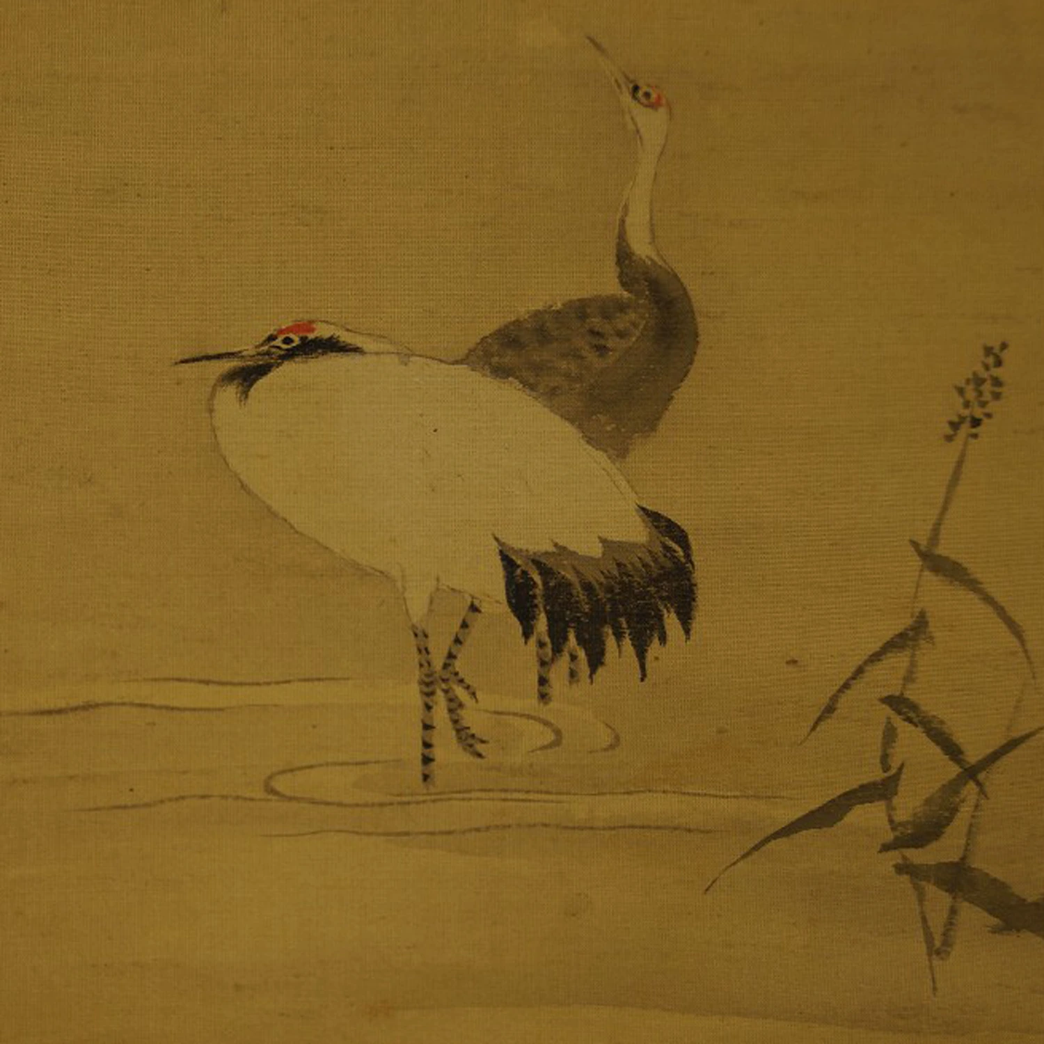 Japanisches Rollbild Fuji und Kraniche von Kano Yoshinobu Motiv Nahaufnahme Vorschau