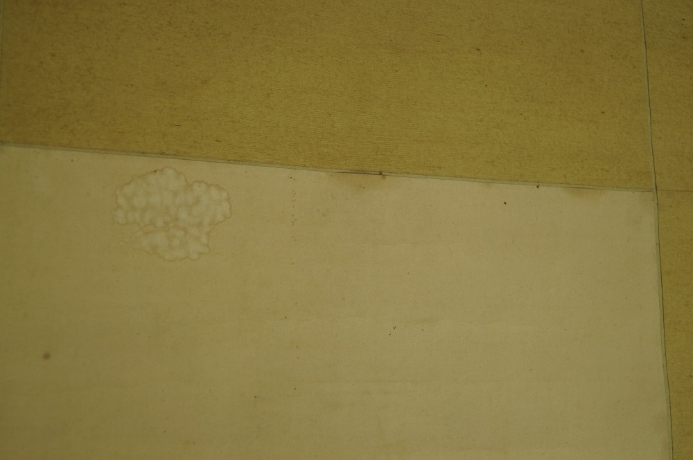 Graeser Rollbild Montierungsdetail