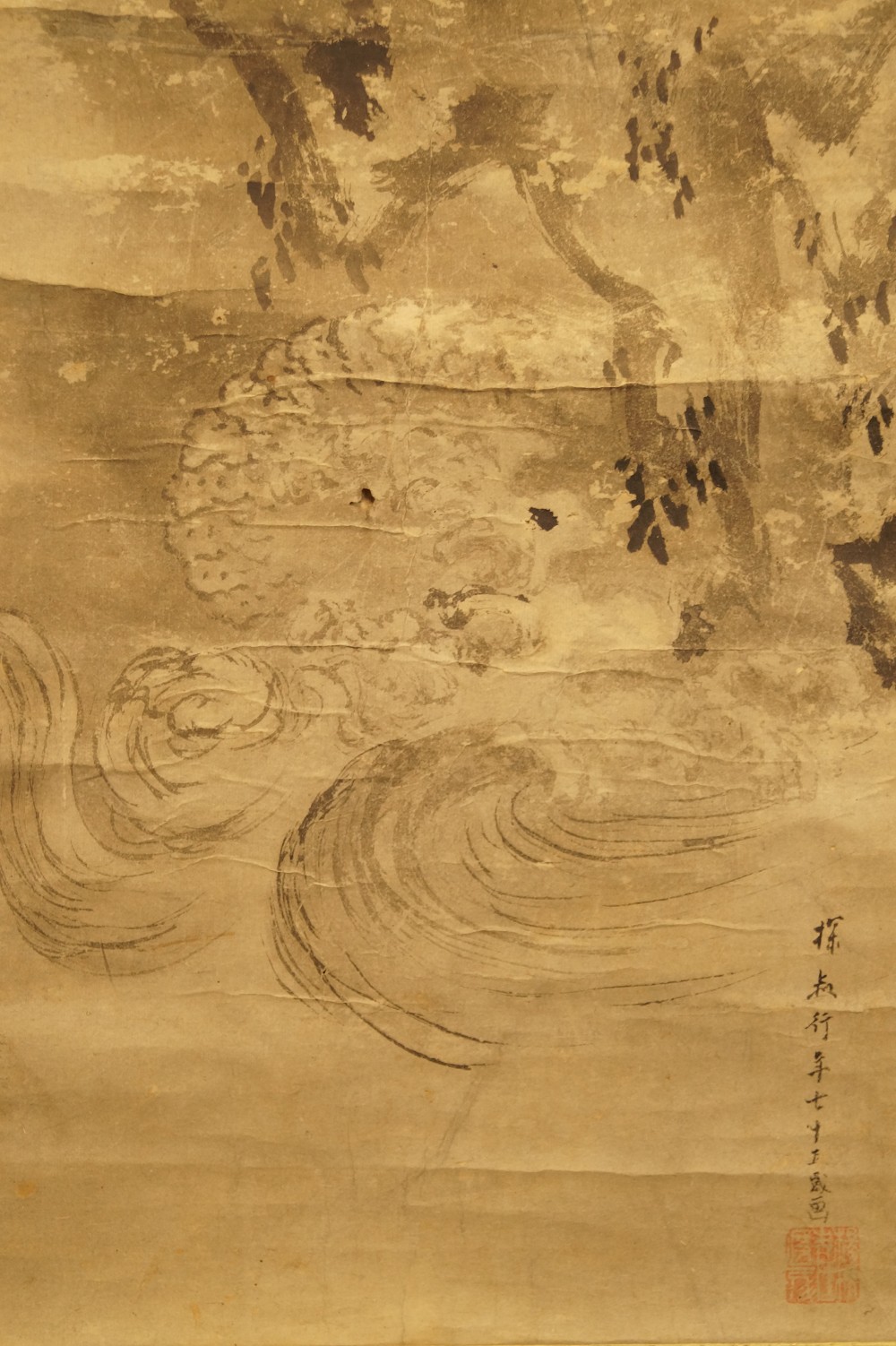 Dragon vagues gros plan